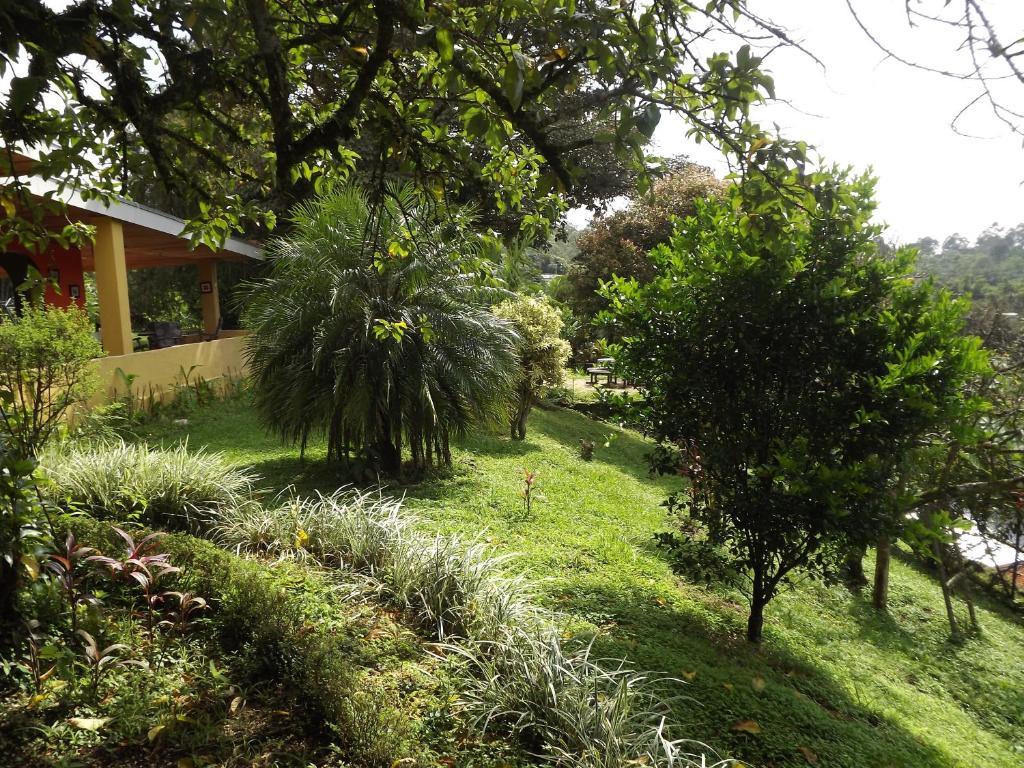 Pilas Aparthotel Villa Pacande & Rooms الغرفة الصورة